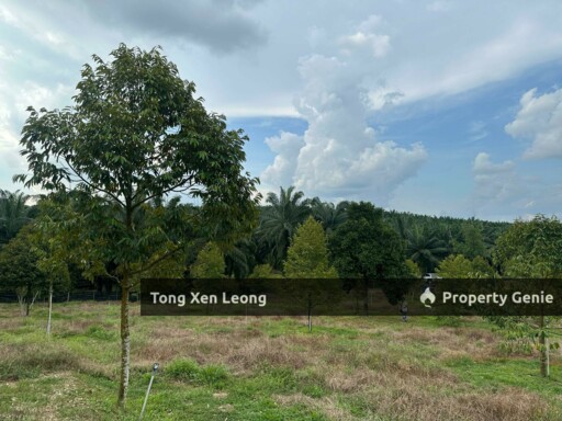 Nyalas Durian Land For Sale