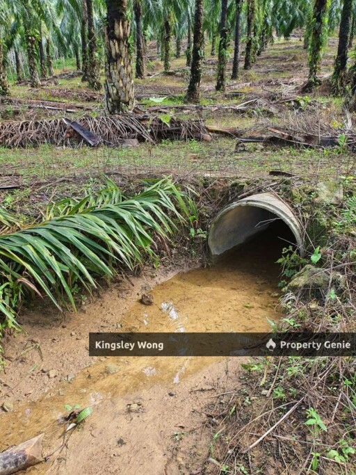 Sungai Siput Jalong Perak Freehold 8.3 Acres Agriculture Land Flat & Sloppy Land