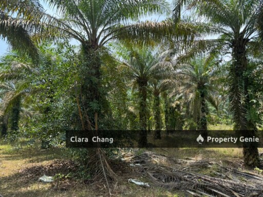 Bukit Batu 33 Miles Oil Palm Agriculture Land for Sale