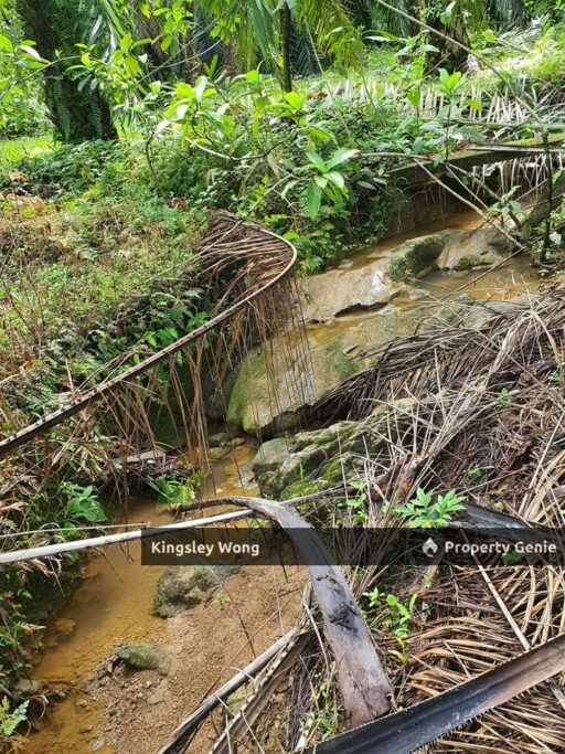 Sungai Siput Jalong Perak Freehold 8.3 Acres Agriculture Land Flat & Sloppy Land