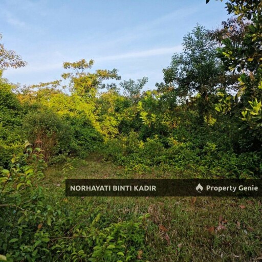 LOT BANGLO DI BUKIT GOH BELAKANG KOTASAS