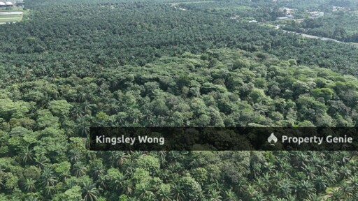 Taiping Perak Freehold Agriculture Land Can convert to Industrial title