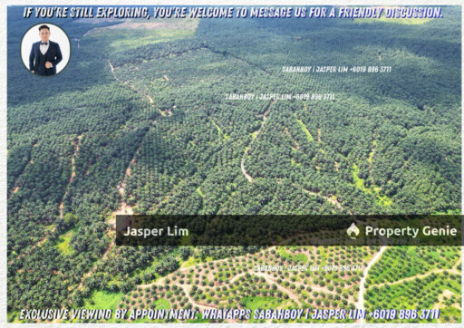 Kunak - Semporna Plantation Flat Land