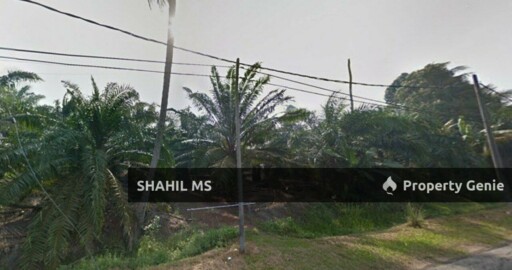 MUAR JOHOR || KAMPUNG SUNGAI GERSIK ||TANAH PERTANIAN || KEBUN SAWIT || 4.539 EKAR || INTERNATIONAL LOT || RM1,790,000.