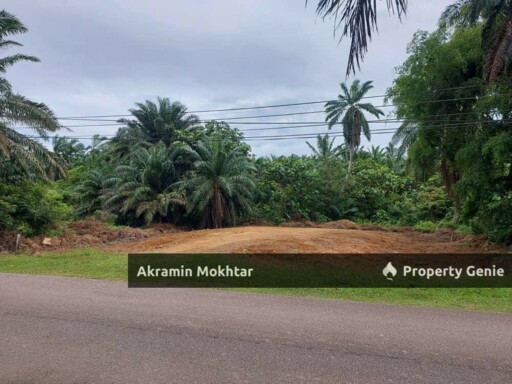 Tanah Lot Banglo Jasin Melaka   📍Kampung Tersusun Datuk M.Khidir Jasin Melaka