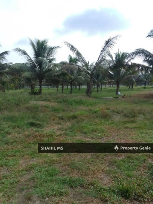 spoo65 || KOTA TINGGI JOHOR || KAMPUNG RANTAU PANJANG || TANAH PERTANIAN BERSERTA SEBUAH RUMAH || 5.38 EKAR || BUMI LOT || RM590,000