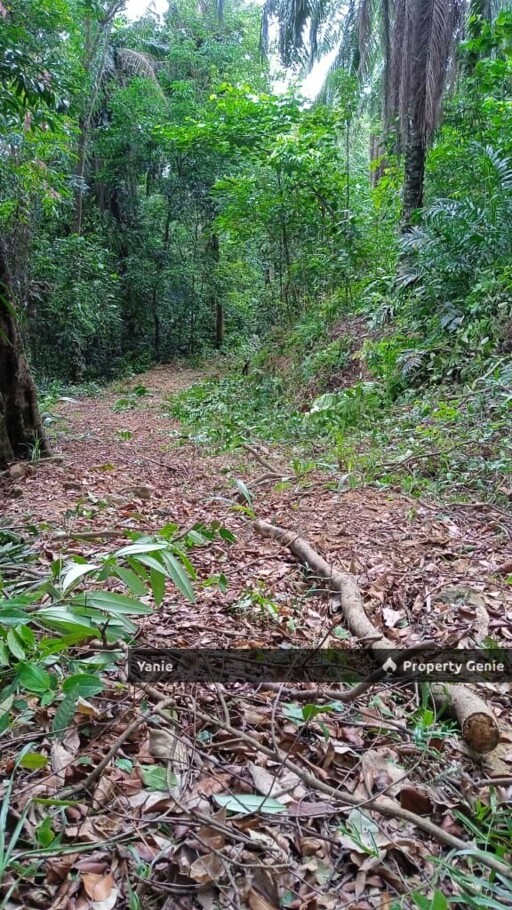 Tanah Pertanian di Kuang Selangor cuma RM17 sqf nego