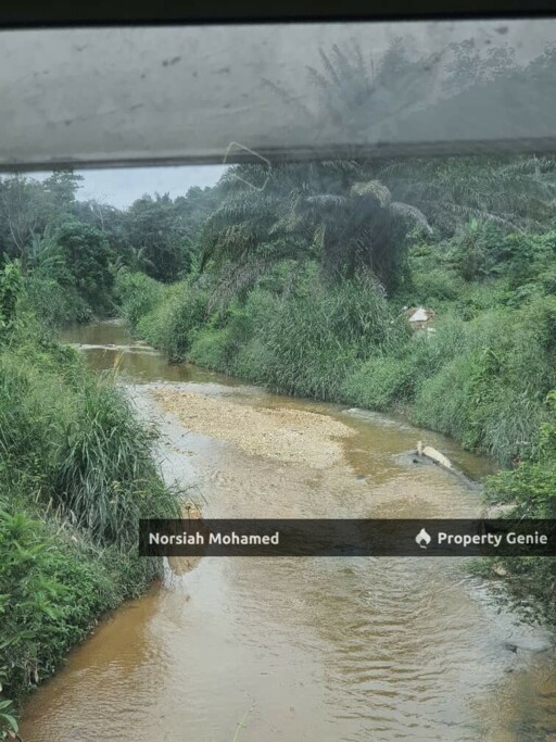 Tanah Potensi Emas - Sesuai Kebun Musang King  atau Projek Ternakan Ikan dan Ayam, Kuala Pajam, Beranang, Selangor