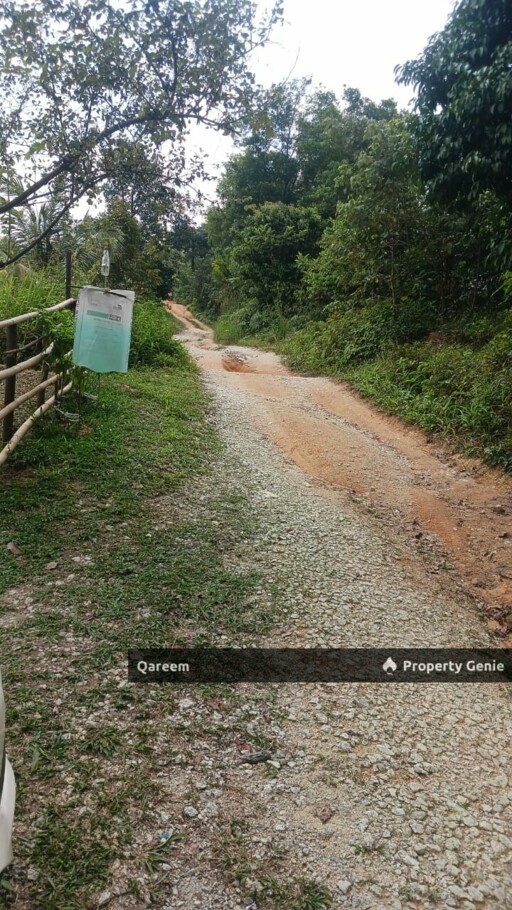 2 Ekar Dusun Durian Musang King bukit permata Gombak