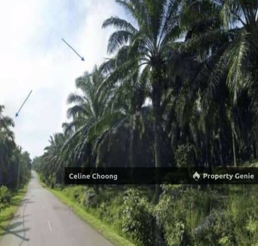 Mukim Sungai Petani, Kedah P005