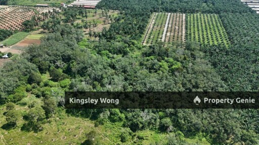 Sungai Siput RE road Freehold 11 Acres Agricultural Land Suitable Poultry farm