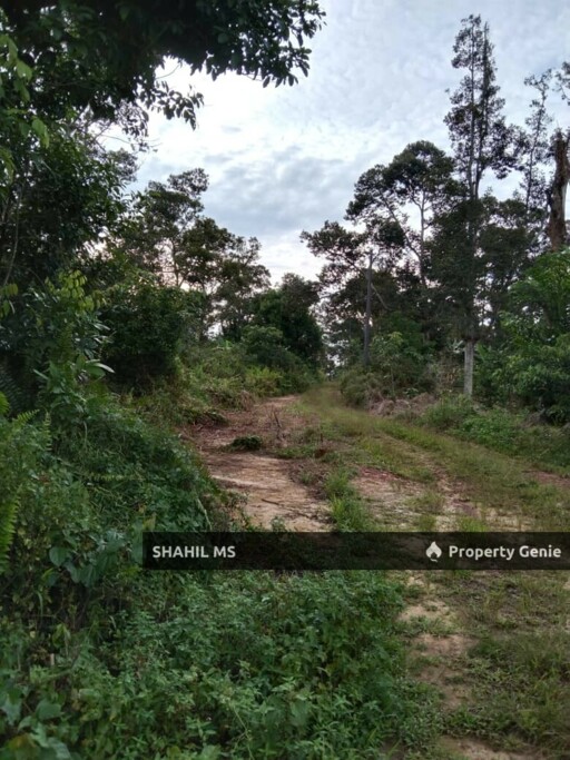 sp0148 || GELANG PATAH JOHOR || KAMPUNG JELUTONG TENGAH || TANAH PERTANIAN || FREEHOLD || INTERNATIONAL LOT || 4.929 HEKTAR || RM21.5 JUTA