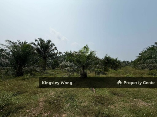 Sungai Siput 2 Acres Land Road Side Land Flat Land