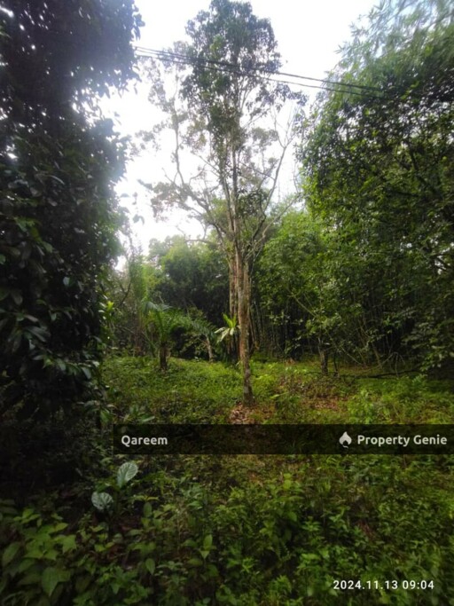 Tanah Cantik 2.16 Ekar Hulu Tamu Batang Kali