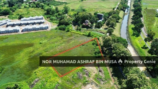 Tanah Geran 1 nama Behor Empiang, Kangar (dekat ALI KOPI)