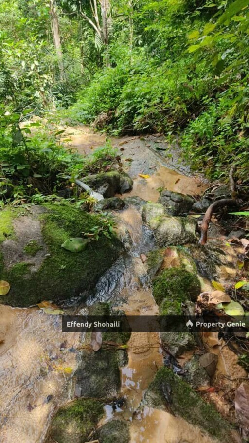 SERI MENANTI KUALA PILAH TANAH PERTANIAN