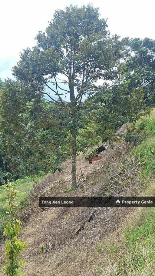 Durian Land in Jelebu Negeri Sembilan For Sale