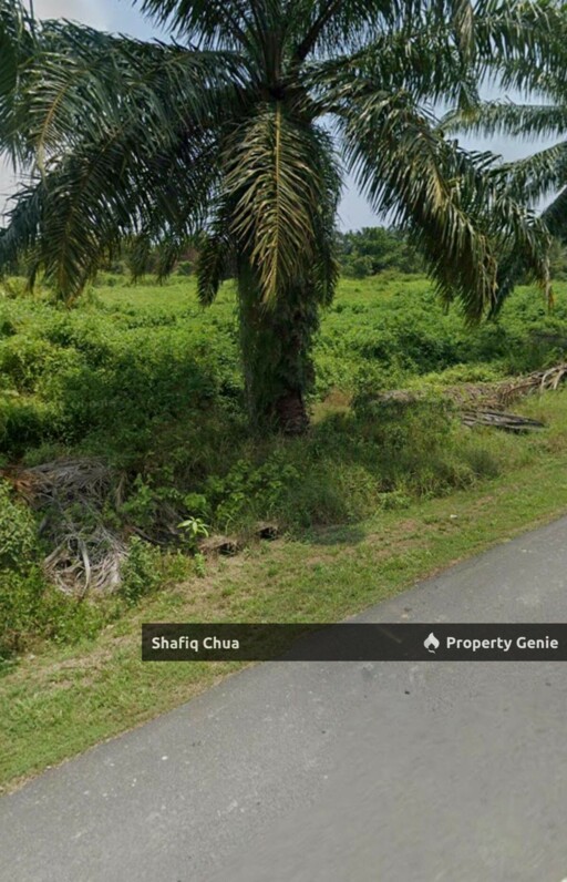 Malay Reserve Industrial Land Jalan Maharajalela Jeram For Sale