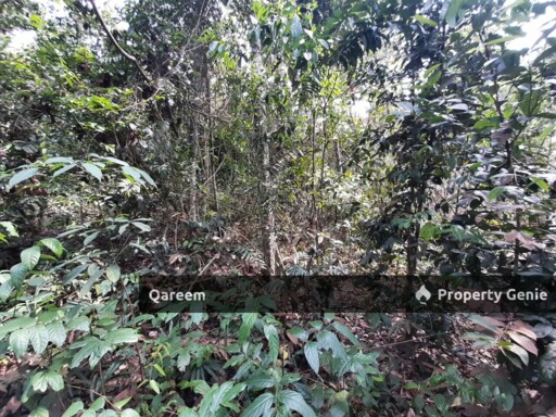 2.5 Ekar Tanah Pertanian Kg Bioh Lenggeng Negeri Sembilan