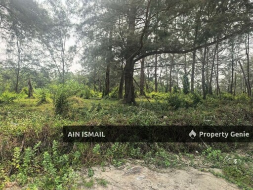 [LOKASI HOT] TANAH TEPI PANTAI BAGING SUNGAI ULAR, KUANTAN