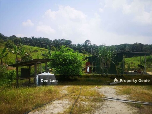 Raub Sungai Ruan Durian Farm for Sale !!