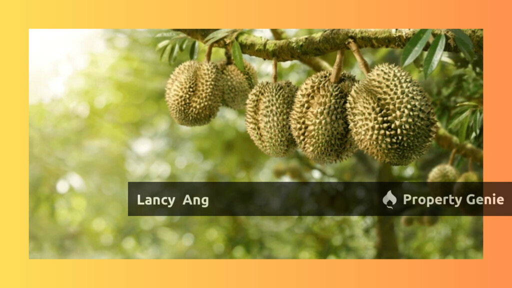 Main Road, Durian Form, Raub, Pahang