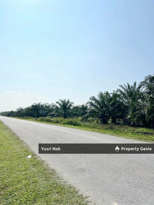 Agricultural Land – Kuala Langat, Selangor
