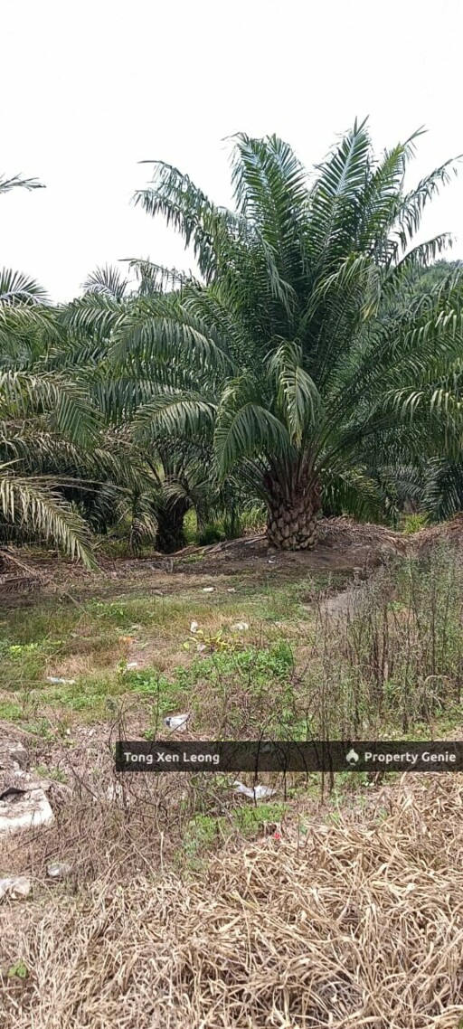 Rompin, Negeri Sembilan