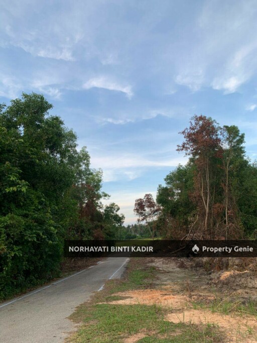TURUN HARGA‼️ 🔥 TANAH PERTANIAN UNTUK DIJUAL – PANTAI SEPAT, KUANTAN 🔥