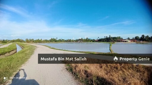 [1ST GRADE] Tanah Bendang, Permatang Kerai Besar, Kepala Batas, Pulau Pinang