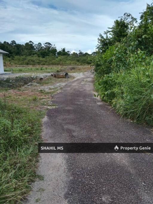 sp0148 || GELANG PATAH JOHOR || KAMPUNG JELUTONG TENGAH || TANAH PERTANIAN || FREEHOLD || INTERNATIONAL LOT || 4.929 HEKTAR || RM21.5 JUTA