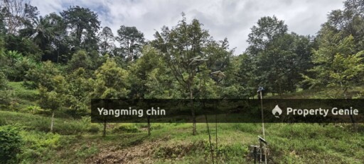 Chenderiang, Tapah Land For Sale