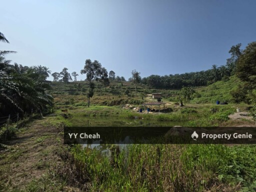 Sg Siput Perak 10 Acres Agri Land For Sale Durian & Orchard 10 Acres Freehold
