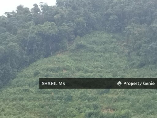 SEGAMAT JOHOR || LABIS || TANAH PERTANIAN || 1.3486 EKAR || RM125,000.