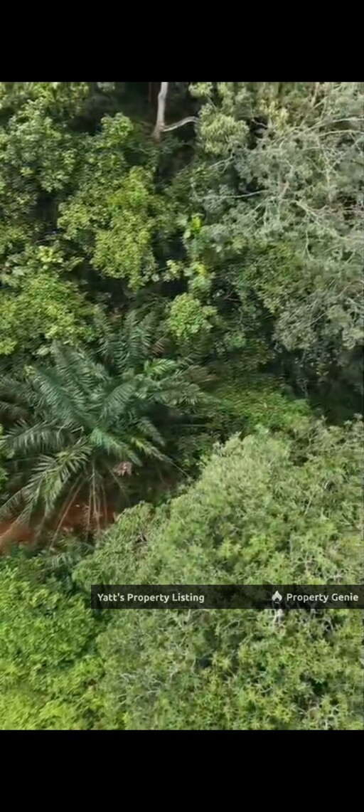 1 Acre Agricultural Land for Sale  Sg Merab, Kajang    Durian Orchard Near River, 5 Mins to IOI City Mall - RM750k  Https://Www.Wassap.My/60163169225/Tanahkgsgmerab1 Acre Agricultural Land for Sale  S