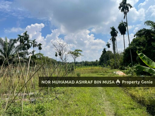 Tanah Kediaman Pongsu Seribu, Kepala Batas Penang📍Non Bumi FREEHOLD‼️