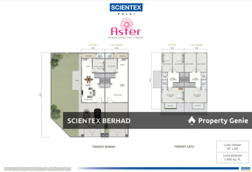 Aster, Scientex Pulai