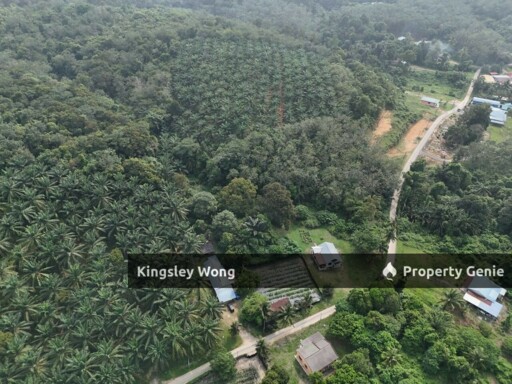 Kampung Ribu Kuala Kangsar 4.3 Acre Oil Palm Agriculture Land