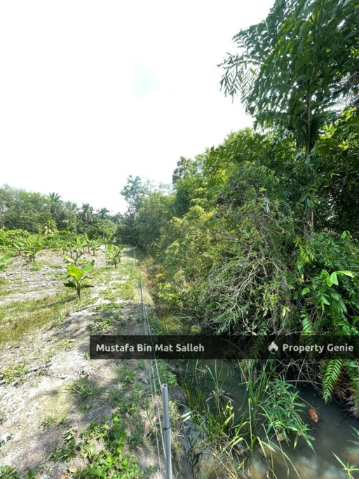 Residential Land Freehold, Pongsu Seribu, Kepala Batas, Penang