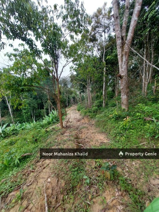 Tanah Pertanian Kampung Ibol Seberang @ Solok Lanjut Manis, Terachi Kuala Pilah