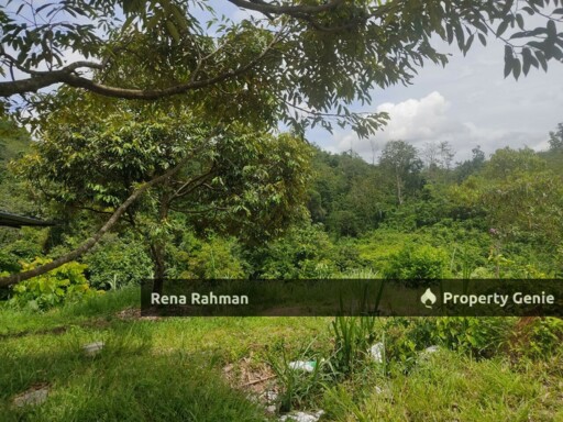 Agricultural Land in Rasah Kemayan Seremban