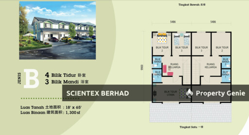 Olive, Scientex Durian Tunggal