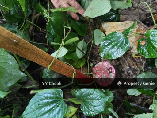 For Sale Menglembu Bungalow Land - 2 Adjoining Lands, Great Location