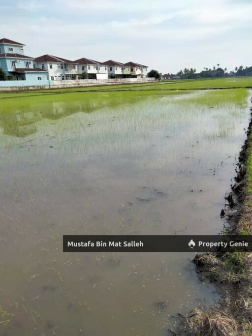 [POTENTIAL LAND FOR DEVELOPMENT] Mergong, Alor Setar
