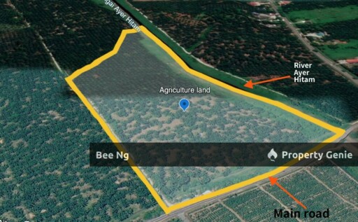 Pontian / Jalan Parit Haji Adnan / Agricultural Land / 1st layer Flat Terrain