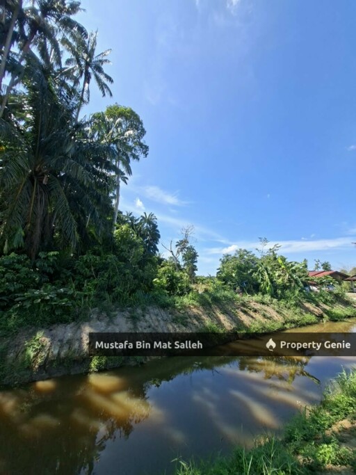 [Tanah Bendang] Bagan Samak, Bandar Baharu, Kedah