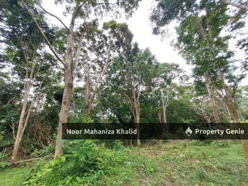 Tanah Pertanian Kampung Ibol Seberang @ Solok Lanjut Manis, Terachi Kuala Pilah