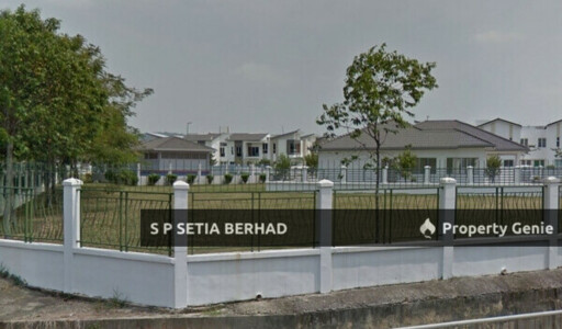 Antiaris, Setia Damai