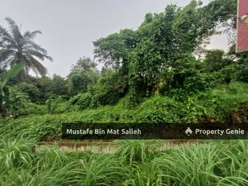 [Tanah Pertanian] Batu 10, Jalan Bukit Selambau, Jeniang, Kedah