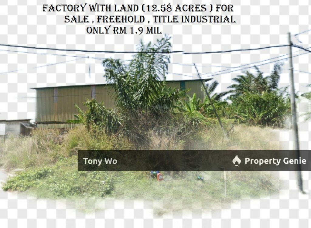 FACTORY WITH LAND FOR SALE